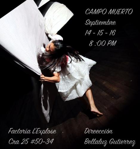 Danza-contemporanea-compania-nacional-bogota-colombia-campo-muerto-bellaluz-gutierrez-2 (1)